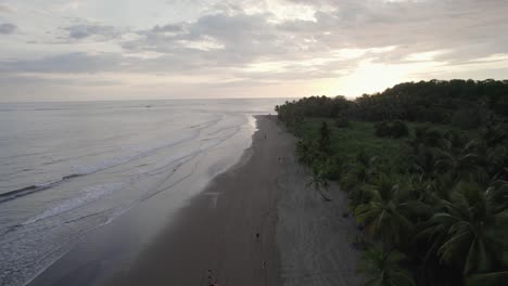 aerial-footage-of-Carribean-beach-during-sunset