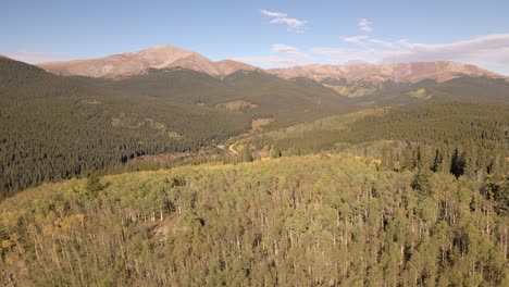 Aerial-view-of-an-aspen-covered-ridge-with