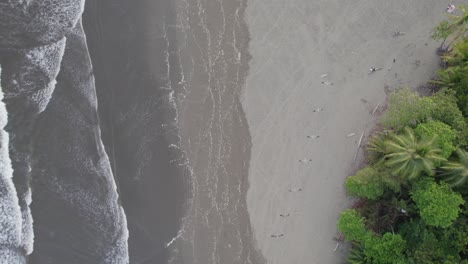An-aerial-shot-of-beach-with-birds-flying