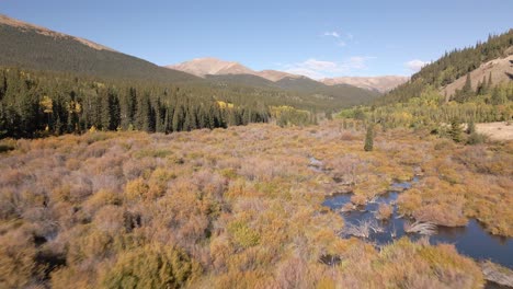 Flying-low-over-beaver-ponds-up-a-valley