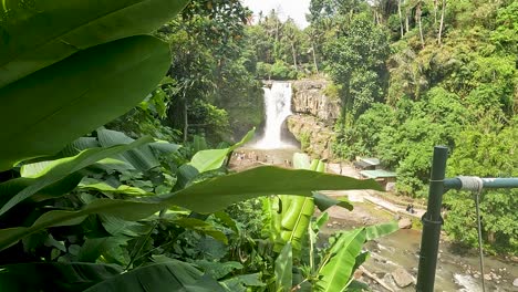 Majestic-deep-jungle-waterfall-with-banana-tree-leaves