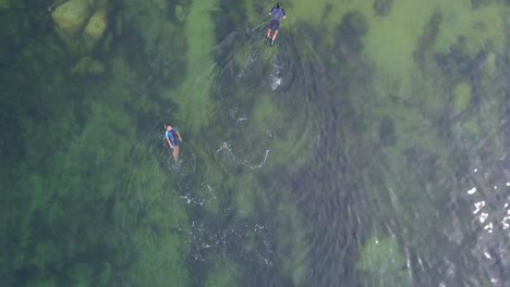 Aerial-drone-view-of-a-couple-snorkeling-in