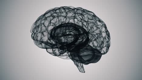 Seamless-Loop-of-a-Wireframe-D-Brain-Model