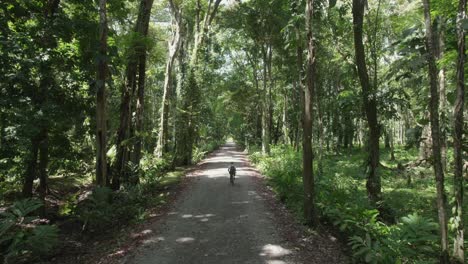 an-adult-cycling-in-a-tropical-forest