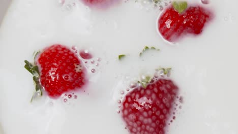 Bright-red-strawberries-falling-and-splashing-into-milk