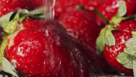 Close-up-water-splashing-on-bright-red-strawberries