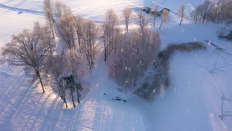 Ukraine-war-positions-in-winter-season-during-snowfall