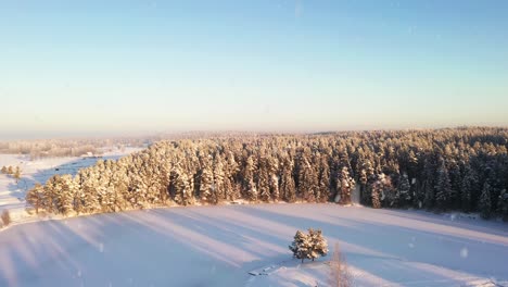 Majestic-winter-forest-and-fields-during-snowfall-on