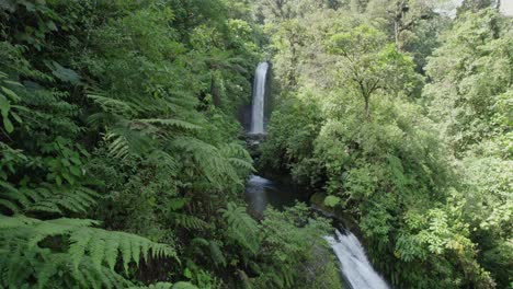 Wasserfall-Mitten-In-Einem-Dschungel-In-Costa