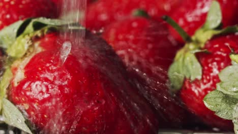 Washing-strawberries-tap-water-splashing-onto-bright-red