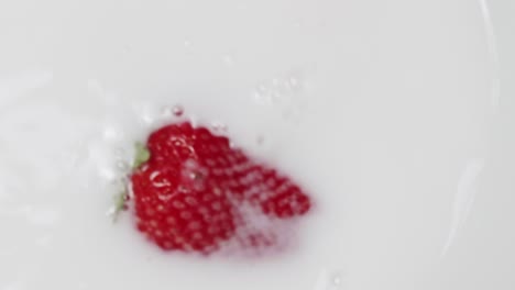 Eine-Einzelne-Rote-Erdbeere,-Die-In-Weiße-Milch-Spritzt