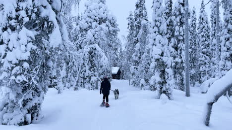 Woman-walking-on-snowshoes-in-snowy-forest-with