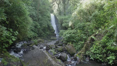 jungle-waterfall-in-Costa-Rica