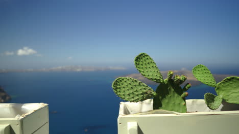 Grüne-Kakteen-In-Töpfen-Auf-Der-Insel-Santorini-Griechenland