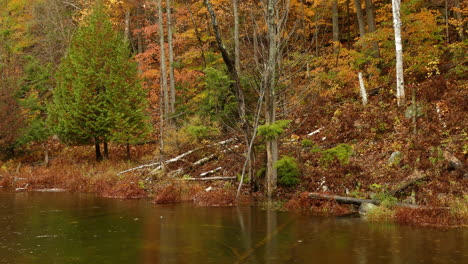 über-Einen-Stillen-Fluss-In-Einen-Farbenfrohen-Herbst