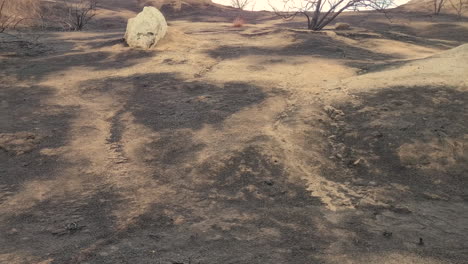 Zerstörte-Kalifornische-Landschaft-Nach-Extremen-Waldbränden-Bewegungsansicht