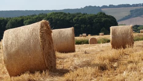round-hay-bails-in-a-field-in-England