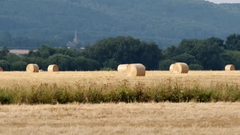 push-in-shot-of-round-hay-bails-freshly-harvested