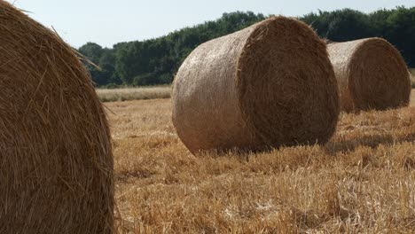 round-hay-bails-in-a-field-in-England