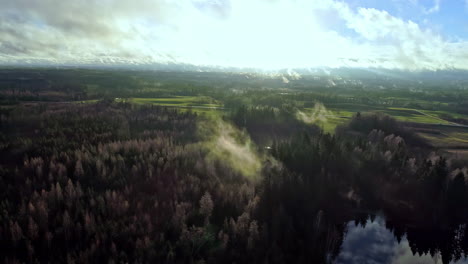 Mysterious-aerial-flight-over-green-woodland-with-fog