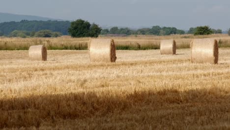 push-out-shot-of-hay-bails-fresh-from