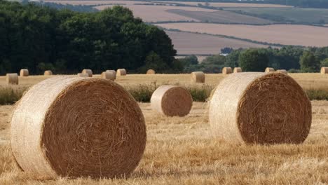 round-hay-bails-in-the-field-in-England