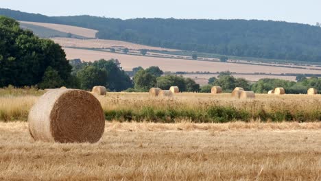 wide-angle-shot-of-round-hay-bails-fresh