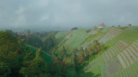 Aerial-footage-of-beautiful-terraced-vegetable-plantation-on