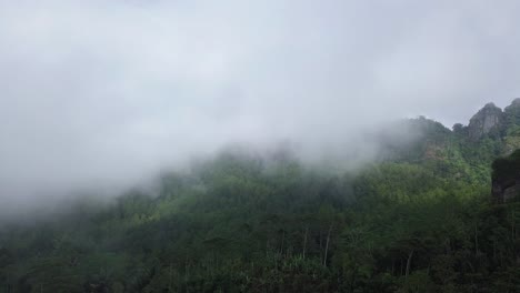 Video-Estático-De-La-Niebla-Que-Se-Mueve