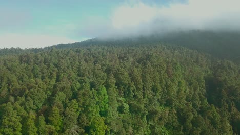 Forward-drone-footage-of-the-forest-with-clouds