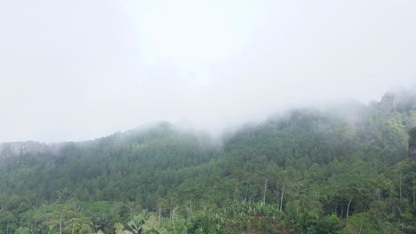 Colinas-Nubladas-En-Bosque-Denso-K-Videos-Tropical
