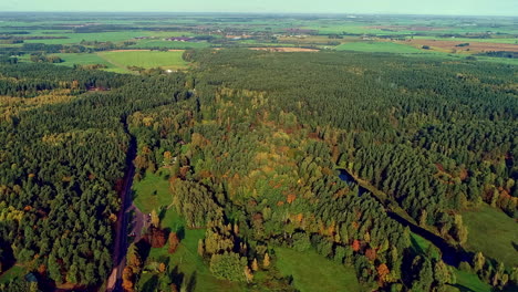 Aerial-flyover-colorful-forest-woodland-with-different-colored