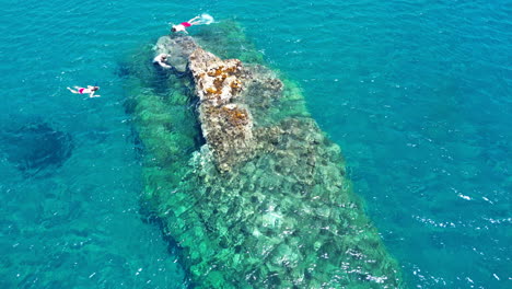 top-aerial-view-of-young-tourists-swimming-around