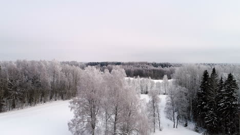 Aerial-View-of-Idyllic-White-Winter-Landscape-Snow