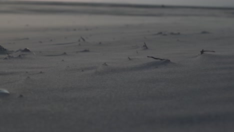 Sich-Bewegende-Sandkörner-Sonnenuntergangwind-Am-Goa-Beach