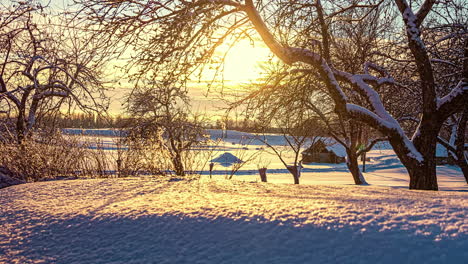 Goldene-Sonnenuntergangsbeleuchtung-Am-Horizont-Auf-Weißem-Schneebedeckt