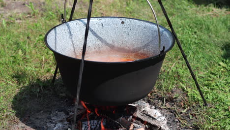 Pot-of-steaming-goulash-cooking-in-iron-pot