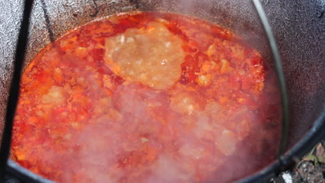 Slow-motion-close-up-of-goulash-cooking-in