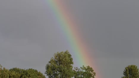 Regenbogen-Mit-Stürmischem-Himmel-über-Bäumen-Niederlande
