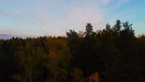 Flying-over-treetops-of-a-versant-autumn-forest