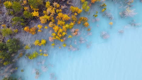 Bunte-Herbstbäume-Im-Blauen-Wasser-Bei-Abraham