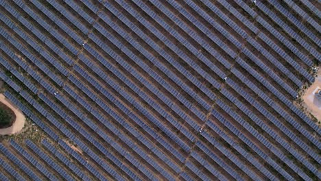 Draufsicht-Auf-Das-Photovoltaikfeld-Des-Solarpanels