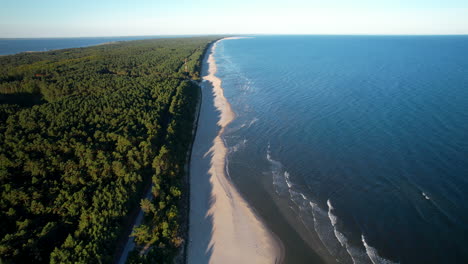 Aerial-View-Along-Krynica-Morska-Forest-And-Beach