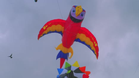 slow-motion-of-large-parrot-kite-flying-in