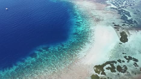 Dive-boat-on-edge-of-beautiful-healthy-coral