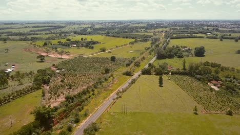 Camino-Entre-Grandes-Campos-Verdes-En-El-Campo