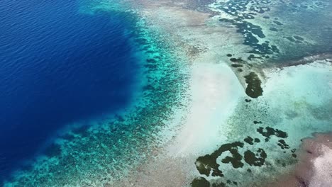 Birds-eye-view-of-coral-reef-on-one