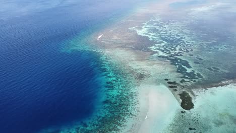 Vista-Aérea-De-Drones-Que-Revela-Un-Vasto-Arrecife-De-Coral-Biodiverso