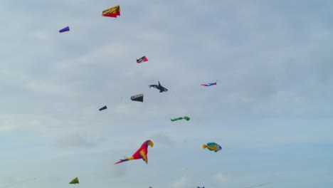 Slow-pan-to-reveal-large-amounts-of-kites