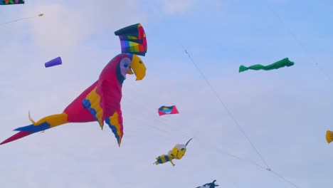 large-Parrot-Antigua-flag-Honey-bee-themed-kites